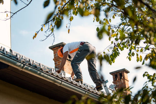 Fast & Reliable Emergency Roof Repairs in Beale Af, CA