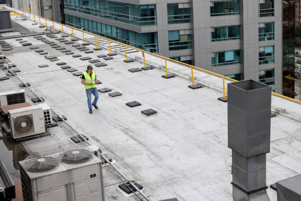 Best Roof Maintenance and Cleaning  in Beale Af, CA