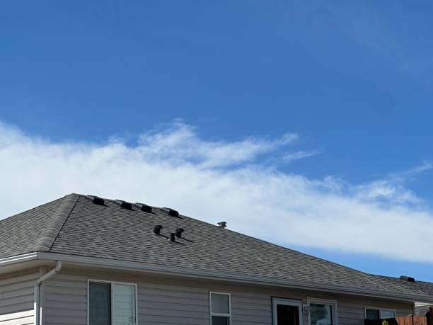 Best Metal Roofing Installation  in Beale Af, CA